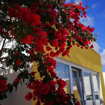 بيت ضيافة Surf House Helena 4*