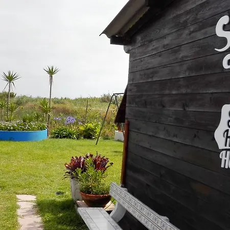 بيت ضيافة Surf House Helena 4*