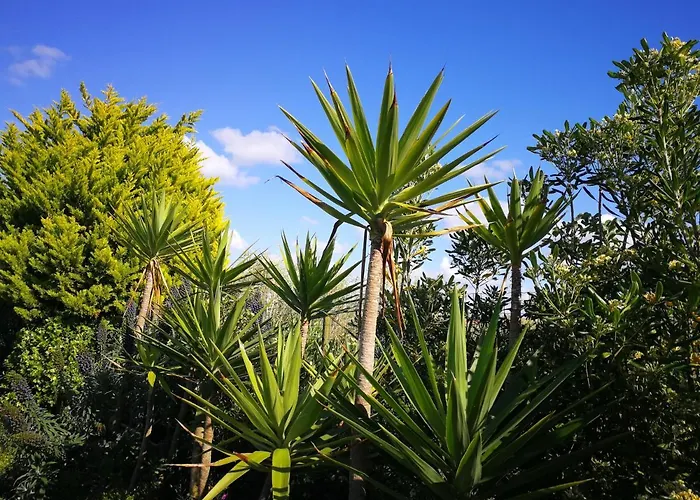 Surf House Helena Casa de hóspedes 4*